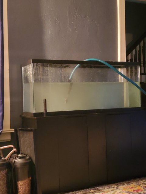 20191004_213344.jpg