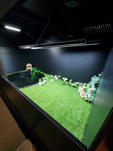 20191004_114955.jpg