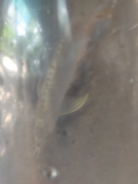 IMG_20190929_084313.jpg