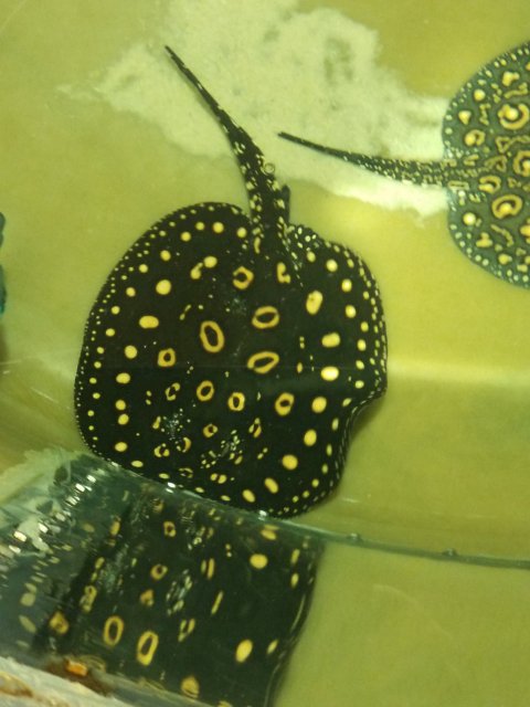 20191005_092310.jpg