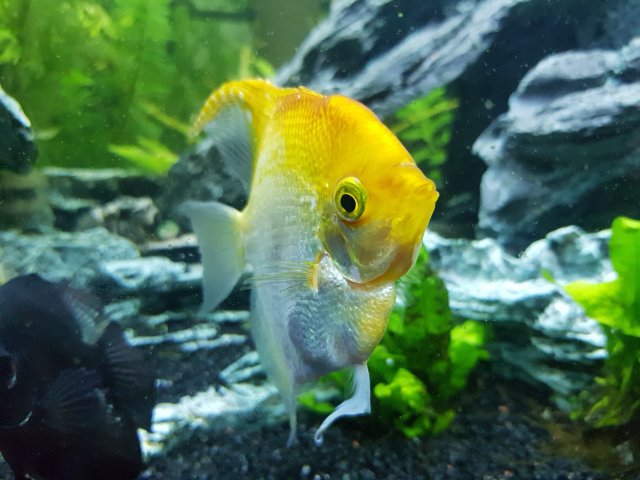 20190916_185306.jpg 20190916_185306.jpg