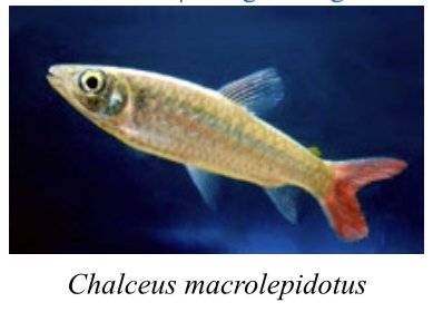 5A2BDD0D-6064-4290-BBFF-D60A04B0783E.jpeg 5A2BDD0D-6064-4290-BBFF-D60A04B0783E.jpeg