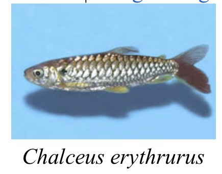 5BD93FD9-1DA0-4574-8866-FDF72BDC5534.jpeg 5BD93FD9-1DA0-4574-8866-FDF72BDC5534.jpeg