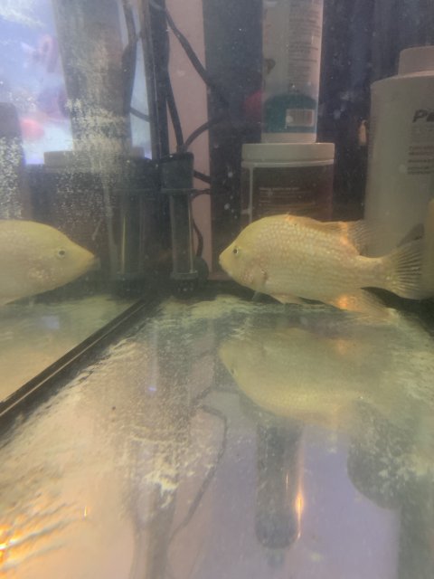 8E609B7E-8454-4D09-AD0B-D4854831752E.jpeg