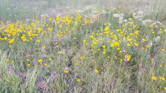 20191010_172424.jpg