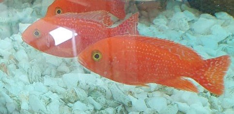 IMG-20191009-WA0020~01.jpg