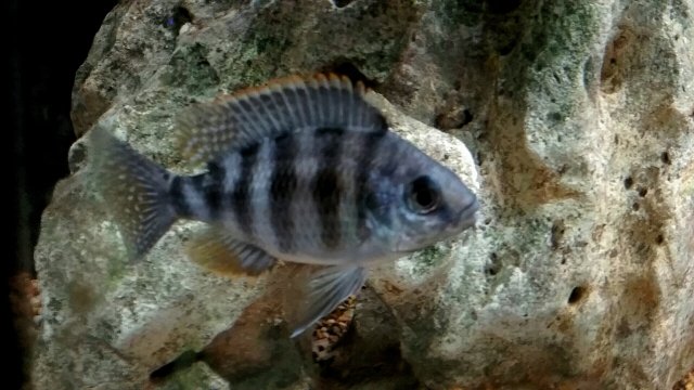 20191011_132303.jpg 20191011_132303.jpg