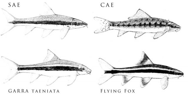 ED2CDB41-3AA6-48C9-AADE-20BFB5931F70.jpeg