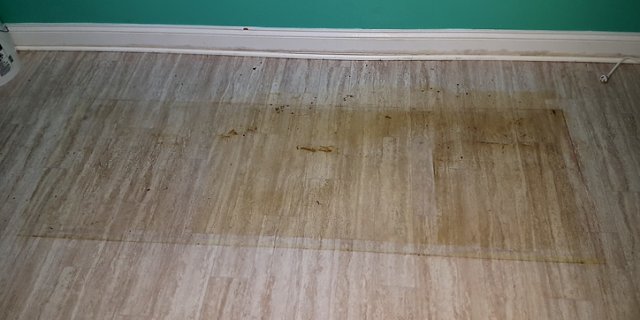 floor 1.jpg floor 1.jpg