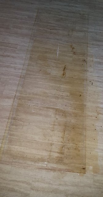 floor 2.jpg