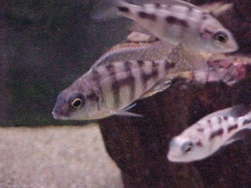 1571072193437.png 1571072193437.png