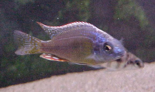 1571072730599.png 1571072730599.png