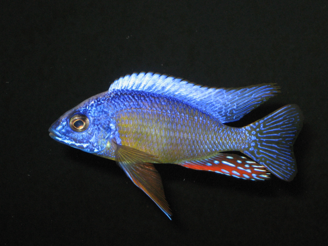 1571074182012.png 1571074182012.png