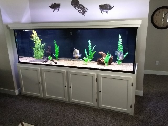 300g.jpg