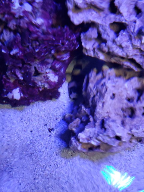 20191011_185130.jpg