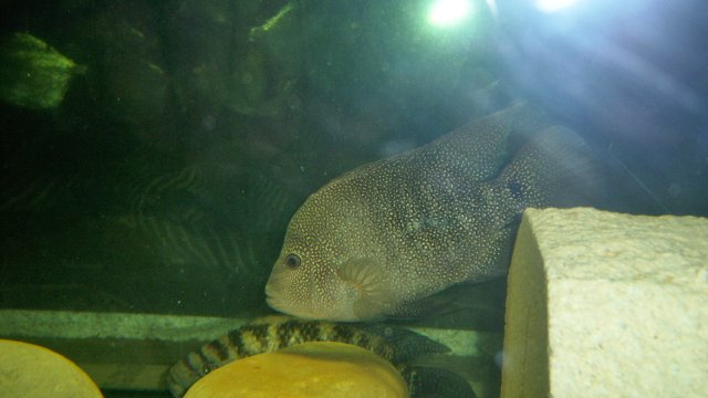 100_8656.JPG