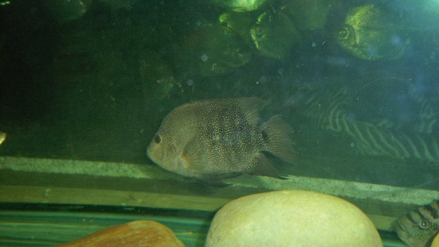100_8657.JPG