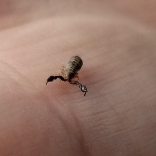 20191016_131921.jpg