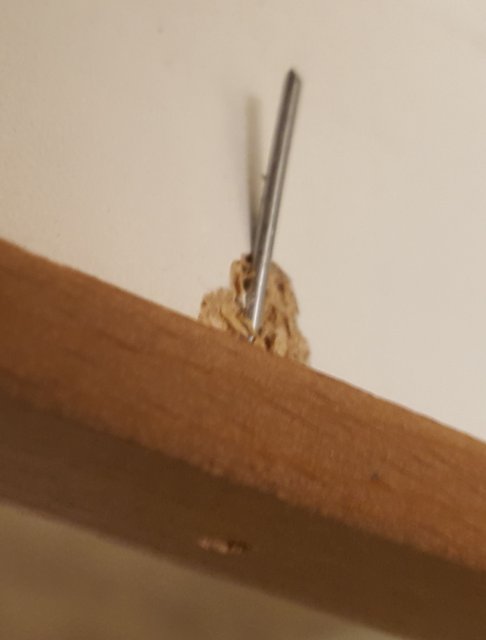 20180821_095339.jpg