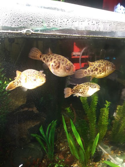 20190629_182343_HDR.jpg