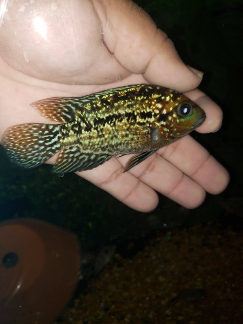 20191017_214429.jpg