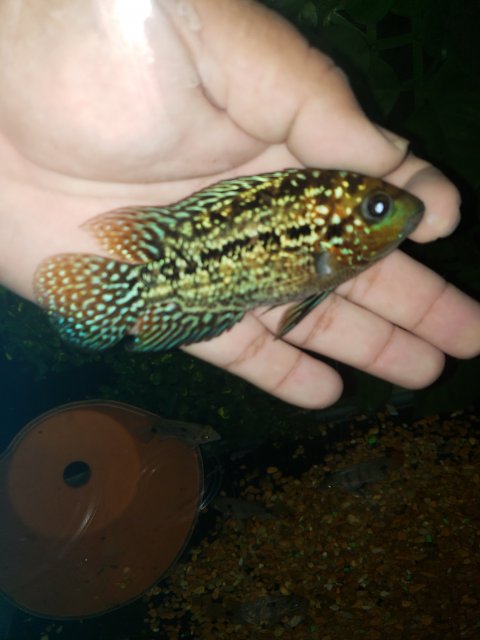 20191017_214421.jpg