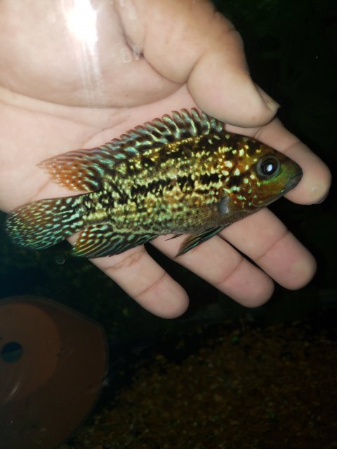 20191017_214413.jpg
