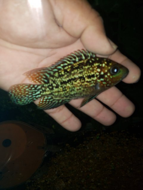 20191017_214403.jpg