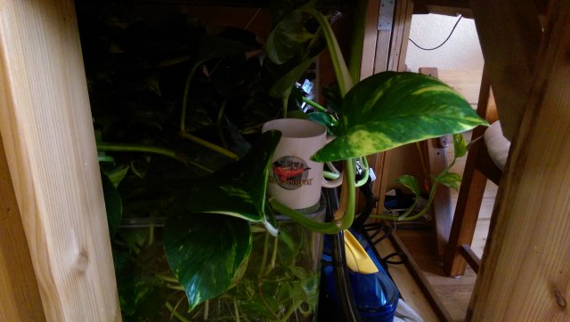 WP_20170311_001.jpg WP_20170311_001.jpg