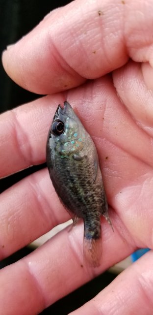 20190910_181226.jpg