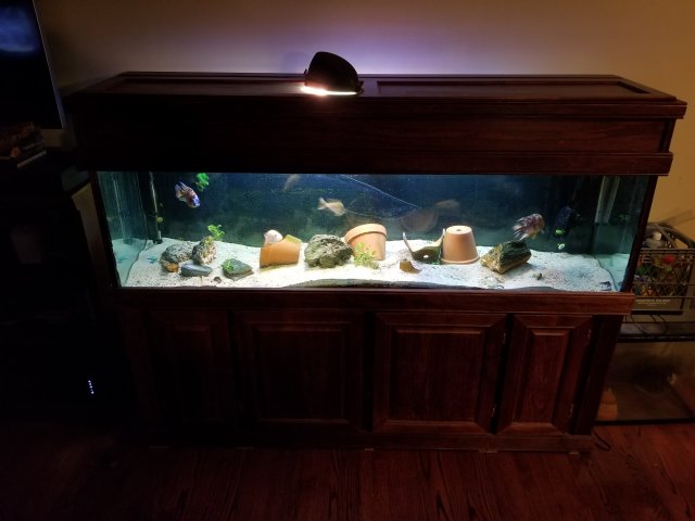 20191020_225341.jpg 20191020_225341.jpg