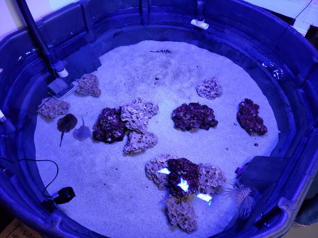 20191021_153136.jpg