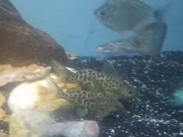 20191027_103347.jpg 20191027_103347.jpg