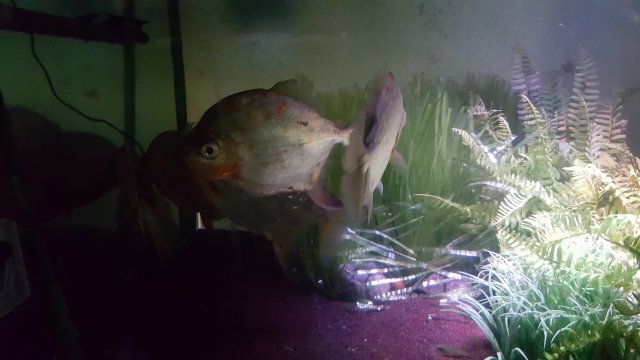 20190825_121844.jpg