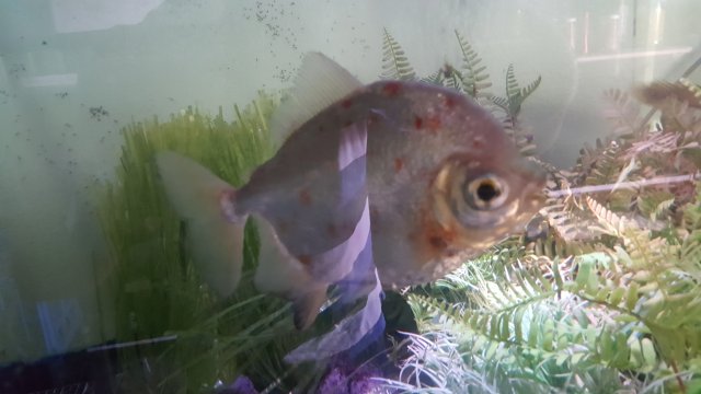 20190825_121755.jpg
