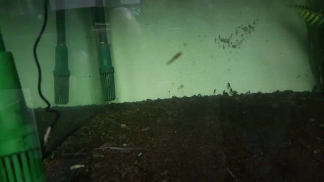 20191005_180304.jpg