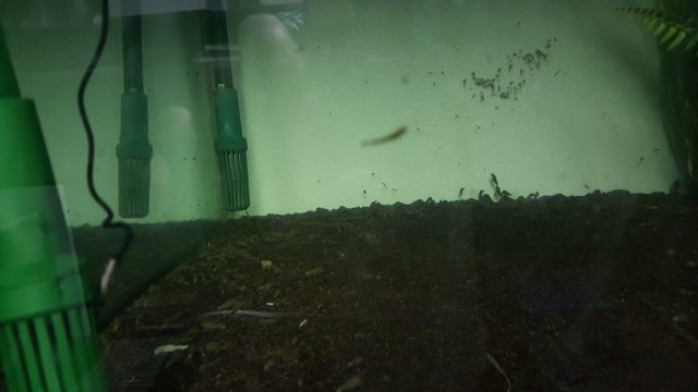 20191005_180303.jpg