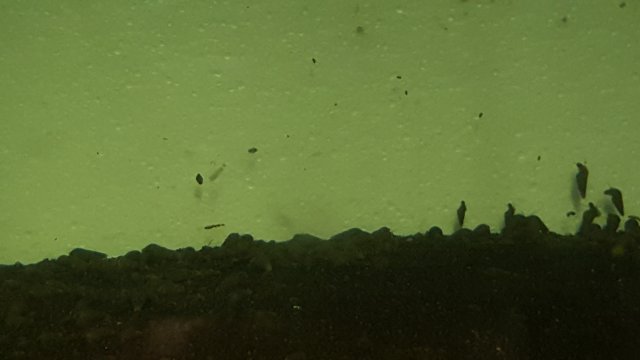 20191005_180243.jpg