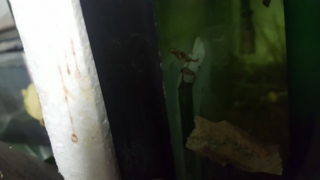 20191029_185924.jpg
