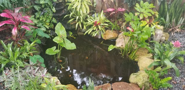 20180720_154224.jpg 20180720_154224.jpg