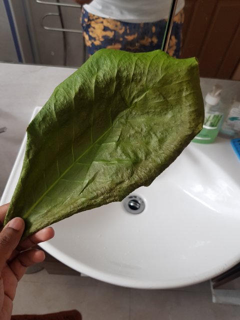 20191101_145839.jpg