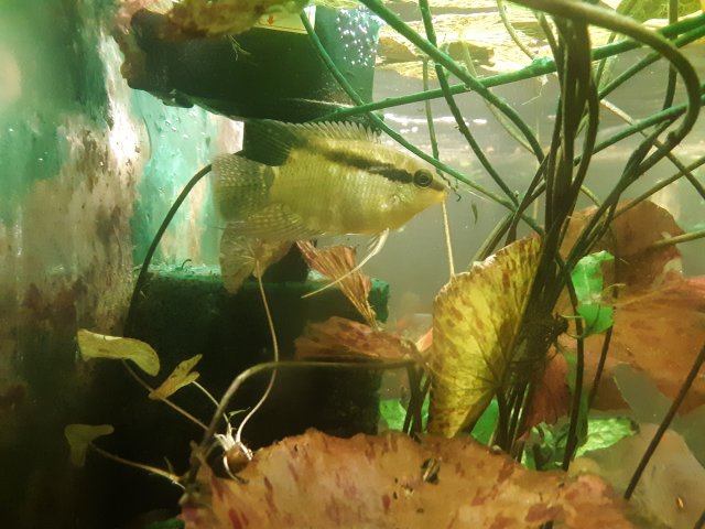 20191101_223339.jpg