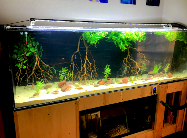 300 gallon tank .png