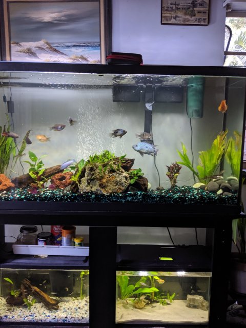 MVIMG_20190716_134920.jpg