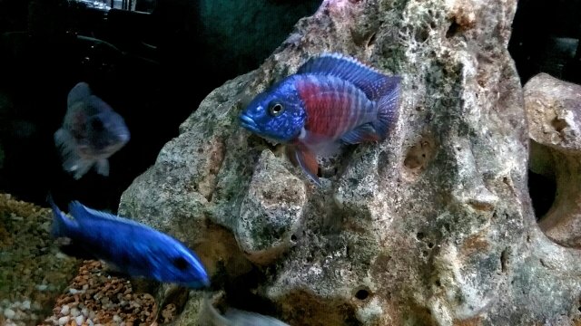 20191102_201039.jpg 20191102_201039.jpg