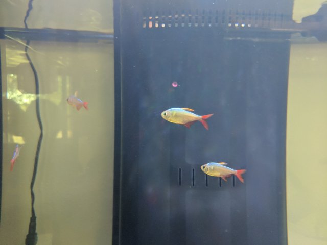 IMG_20191103_092856.jpg