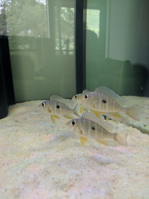 IMG_20191103_092608.jpg