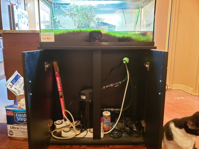 tank2.png tank2.png