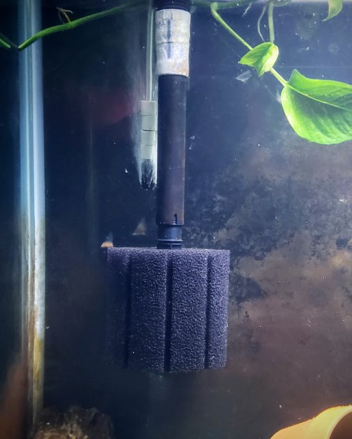 20191103_170122.jpg 20191103_170122.jpg