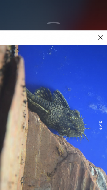 8B11F100-4DE7-4ED7-95A5-876C98F2DF29.png 8B11F100-4DE7-4ED7-95A5-876C98F2DF29.png